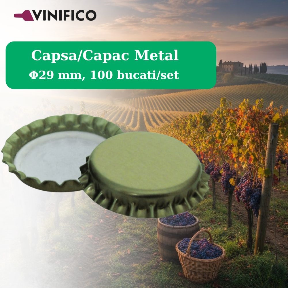 Capsa/Capac Metal Φ29 mm, 100 bucati/set
