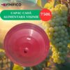 Capac Cada Alimentara Visinie 750 L
