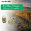 Dop Pluta Naturala Φ24 mm, 100 bucati/set