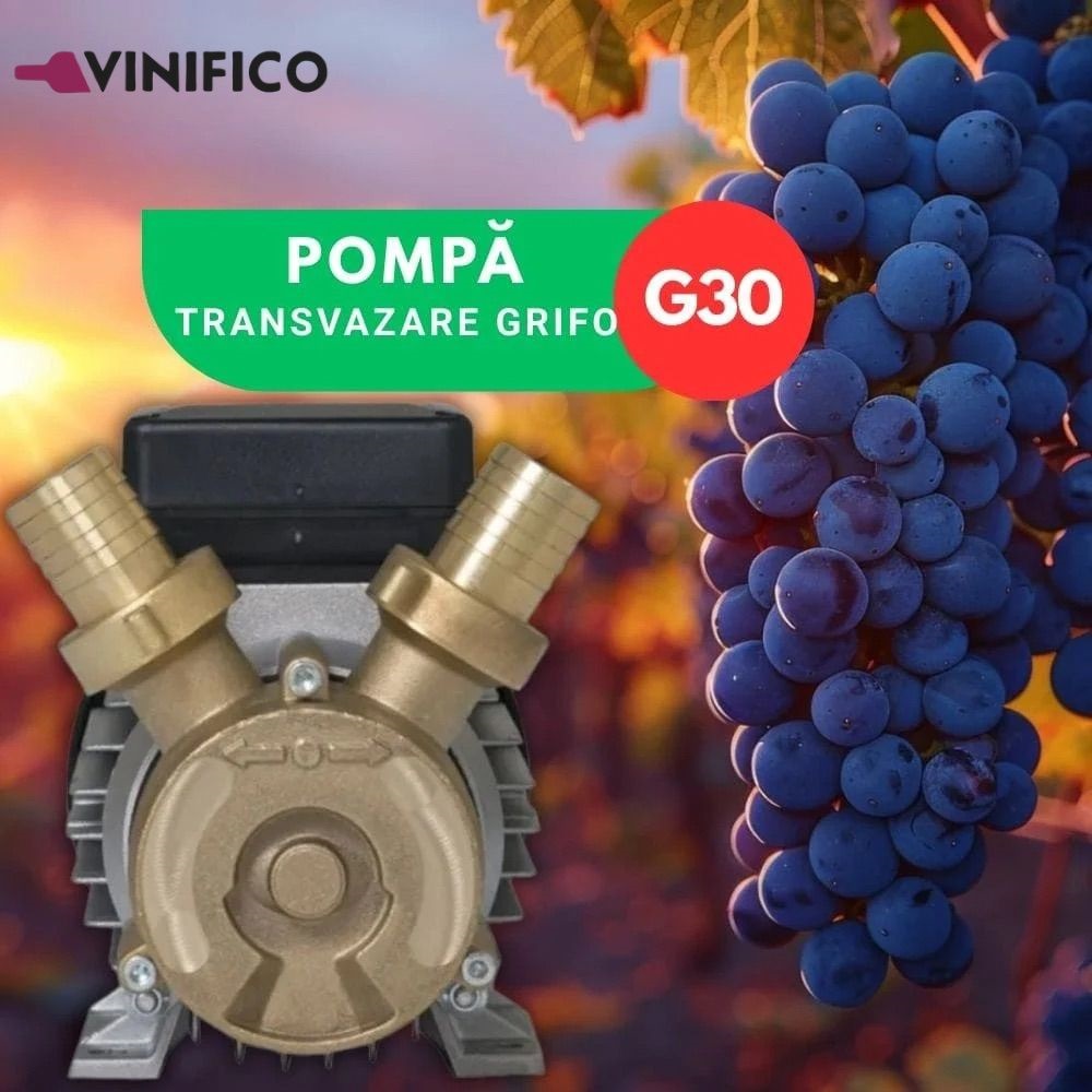 Pompă de Transvazare din bronz Grifo G30